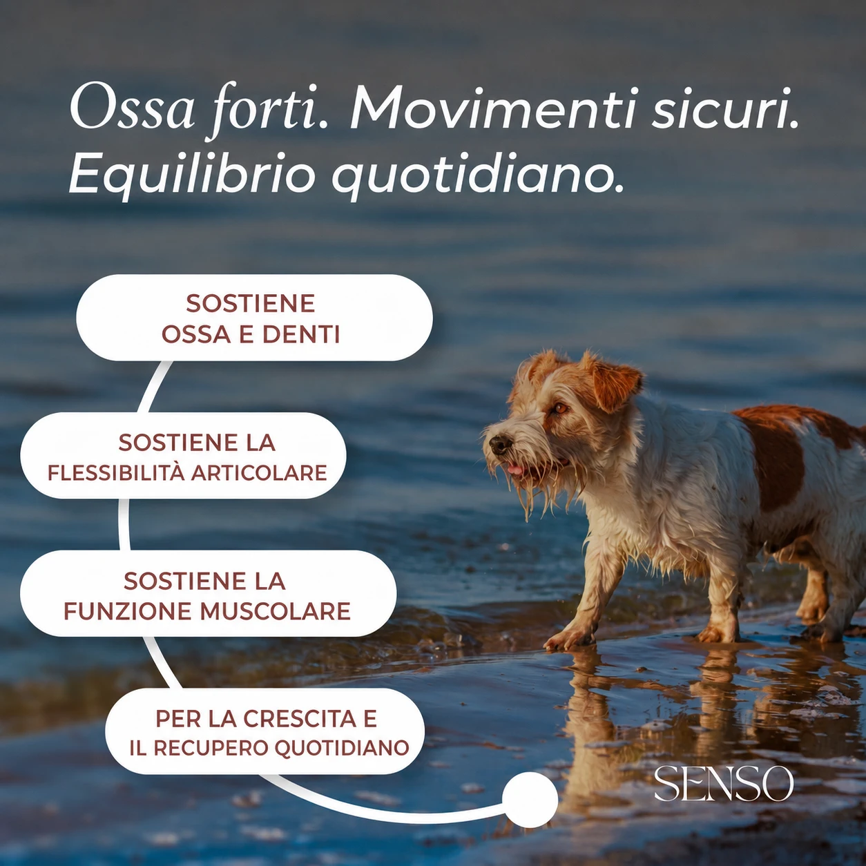 Calcio di alghe — immagine 2