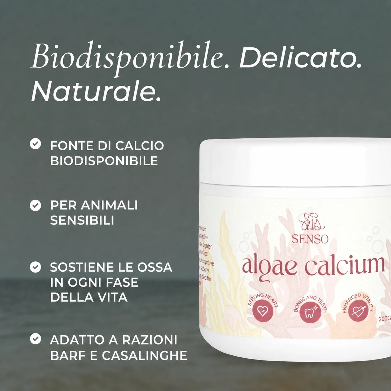 Calcio di alghe — immagine 4
