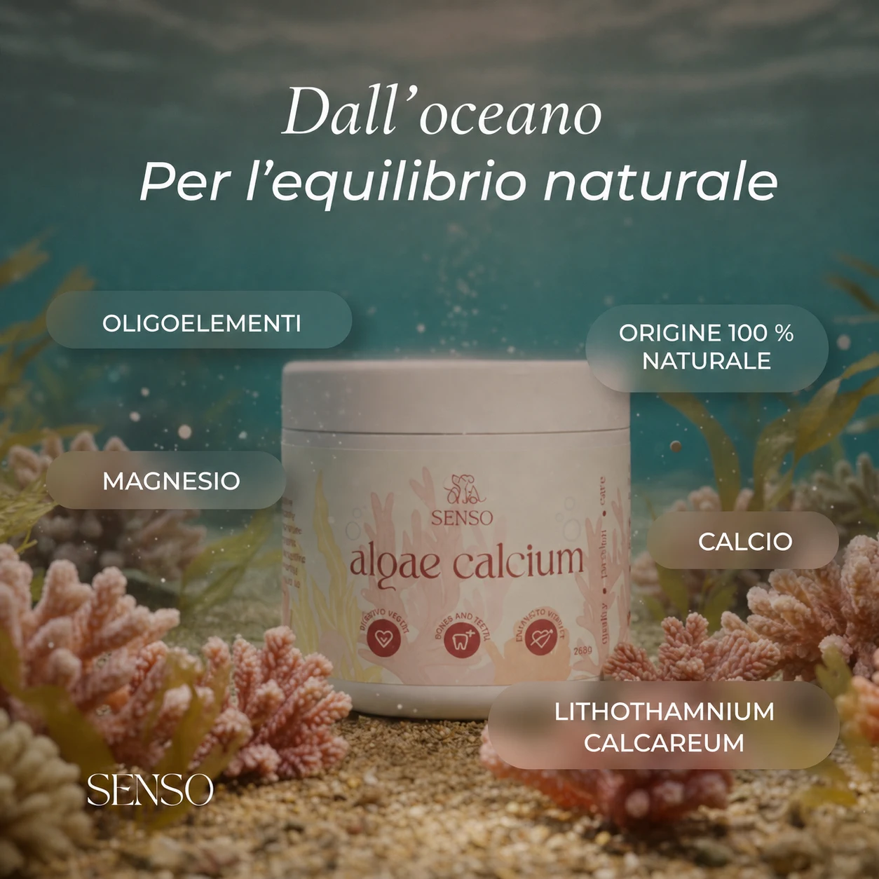 Calcio di alghe — immagine 5