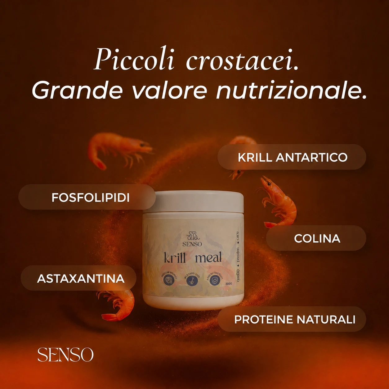 Farina di krill antartico — immagine 5