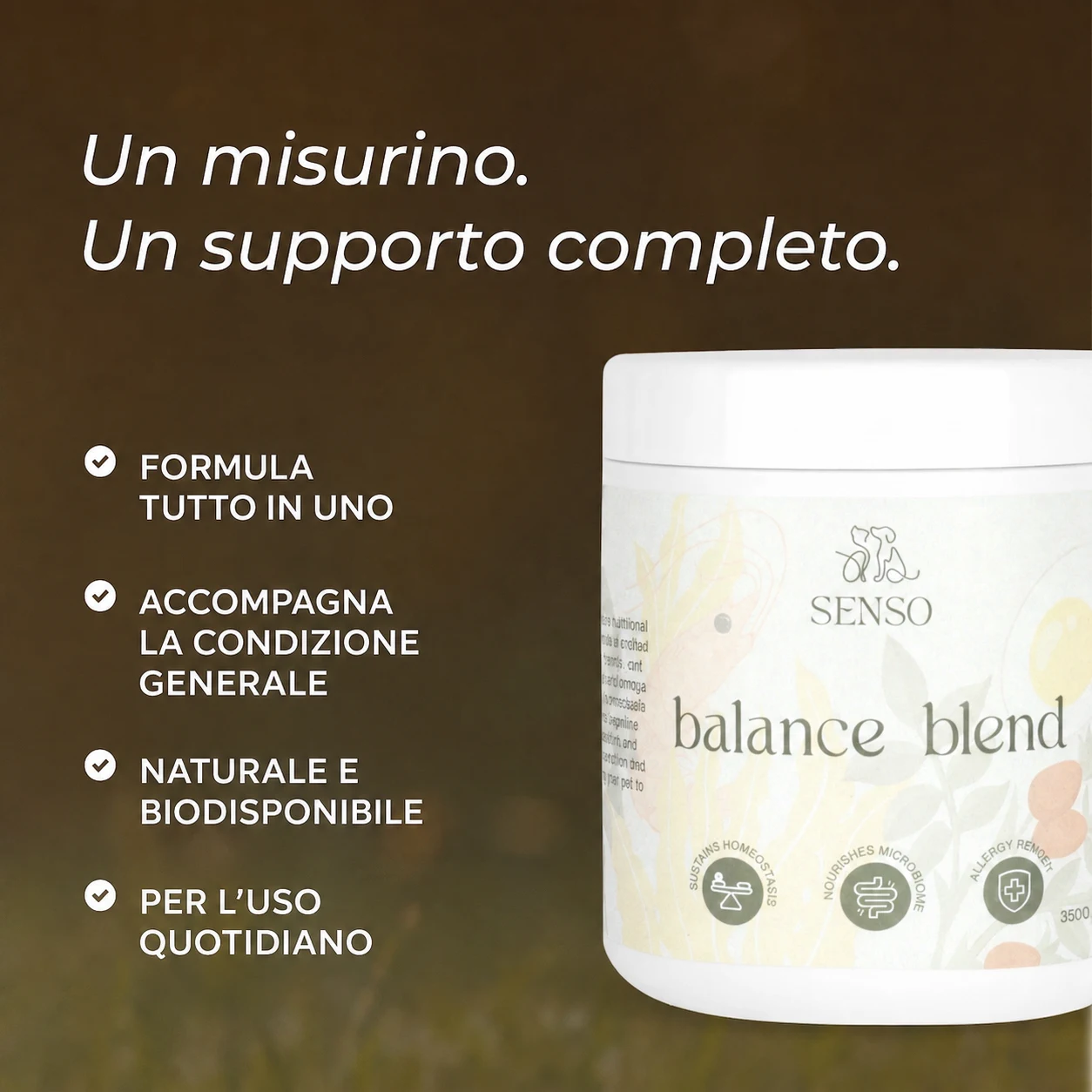 Balance Blend — immagine 4
