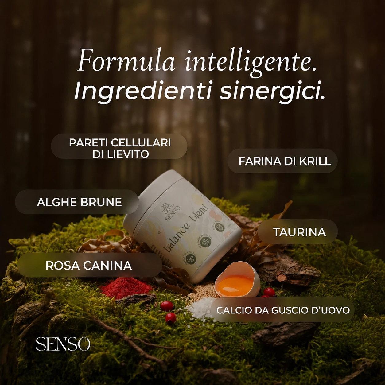 Infografica degli ingredienti di Balance Blend