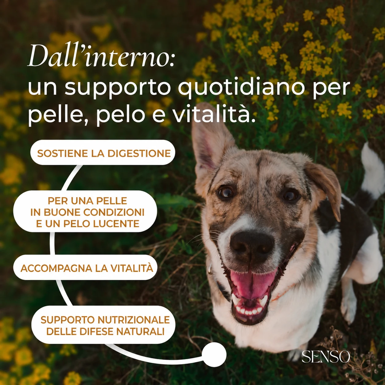 Lievito di birra — immagine 2