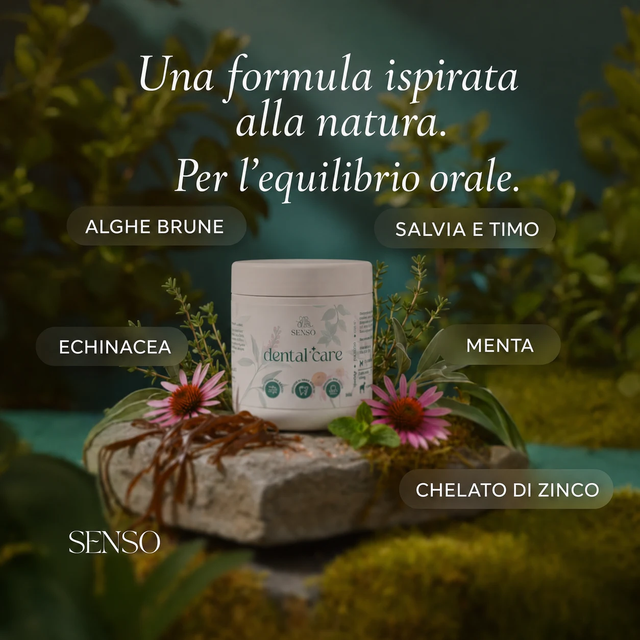 Igiene dentale — immagine 5