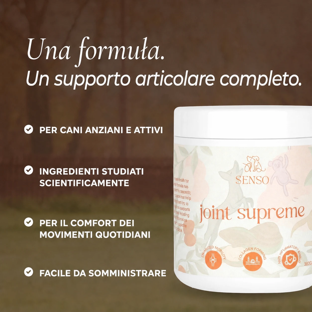 Joint Supreme — immagine 4