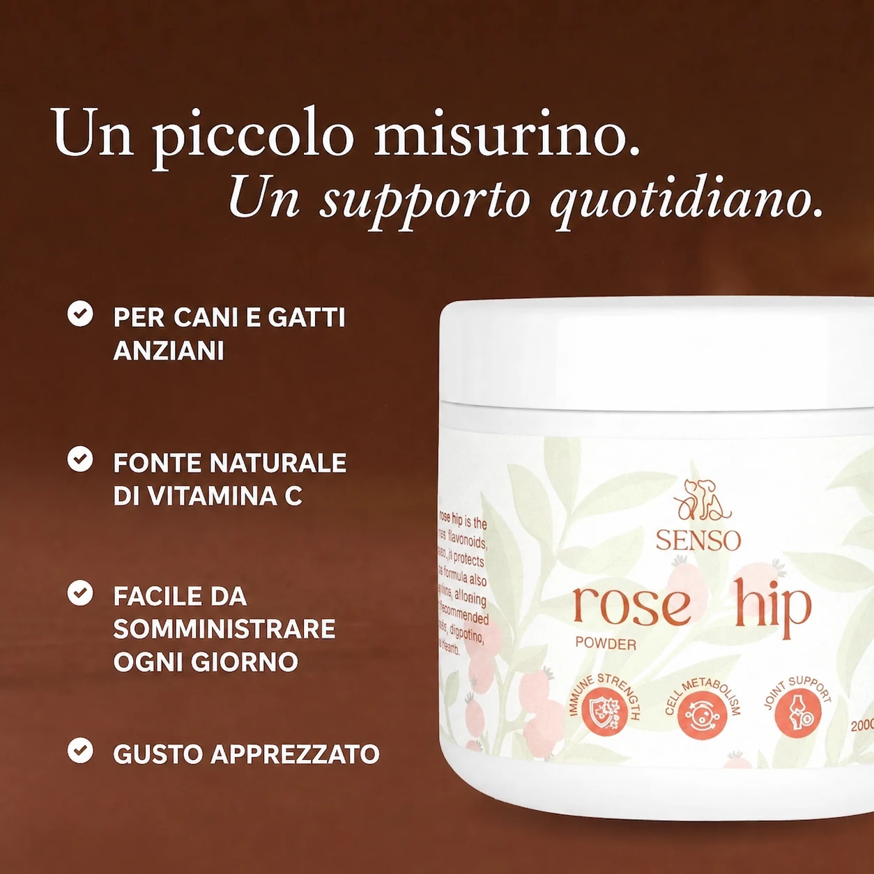 Rosa canina — immagine 4