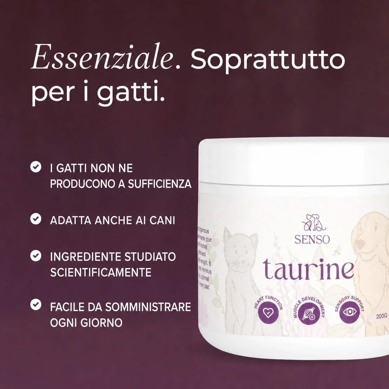 Taurina — immagine 4